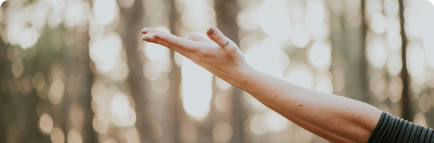 Hand reaching out in a forest with soft light